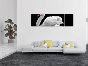 Obraz černobílé labutě (170x50 cm)