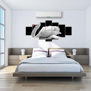 Obraz černobílé labutě (210x100 cm)