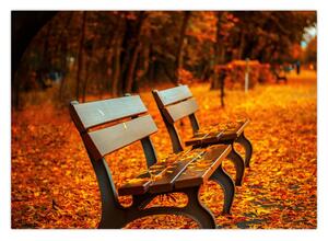 Obraz lavičky v podzimu (70x50 cm)