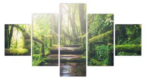 Obraz - dřevěné schody v lese (125x70 cm)