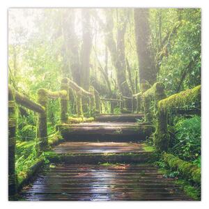 Obraz - dřevěné schody v lese (30x30 cm)