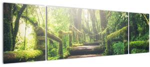 Obraz - dřevěné schody v lese (170x50 cm)