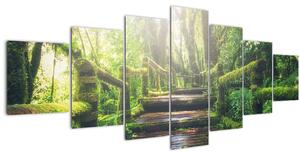 Obraz - dřevěné schody v lese (210x100 cm)