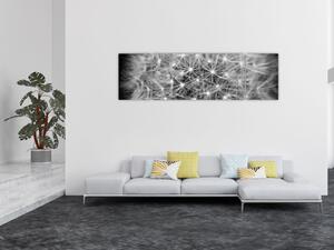 Obraz šedé pampelišky (170x50 cm)