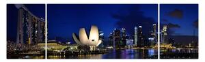 Obraz nočního Singapouru (170x50 cm)