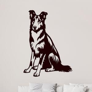 Dřevěný obraz psa Krátkosrstá kolie | Rozměry (cm): 29x40 | Zvolte barvu dekoru: Černá
