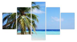 Obraz palmy na pláži (125x70 cm)