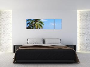 Obraz palmy na pláži (170x50 cm)
