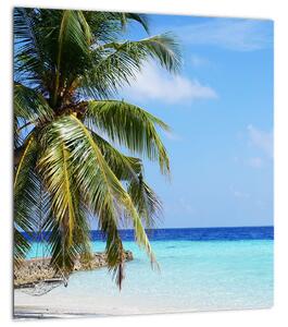 Obraz palmy na pláži (30x30 cm)