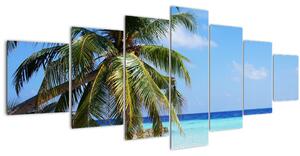 Obraz palmy na pláži (210x100 cm)