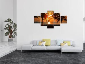 Obraz palmy v západu slunce (125x70 cm)