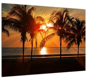Obraz palmy v západu slunce (70x50 cm)