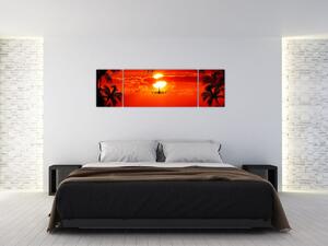 Obraz - západ slunce s letadlem (170x50 cm)