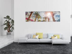 Obraz - palmy s bazénem (170x50 cm)