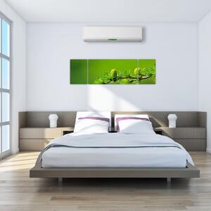 Obraz zelené šišky (170x50 cm)
