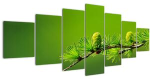 Obraz zelené šišky (210x100 cm)