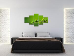 Obraz zelené šišky (125x70 cm)