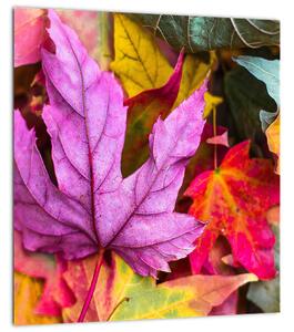 Obraz - podzimní listy (30x30 cm)