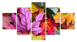 Obraz - podzimní listy (125x70 cm)
