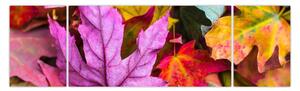 Obraz - podzimní listy (170x50 cm)