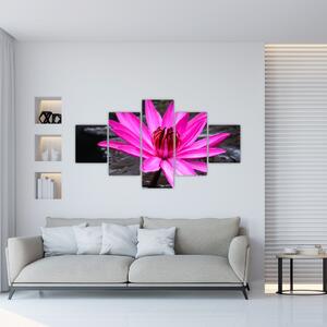 Obraz - růžový květ (125x70 cm)