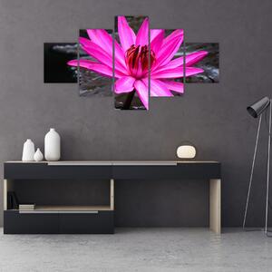 Obraz - růžový květ (125x70 cm)