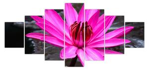 Obraz - růžový květ (210x100 cm)