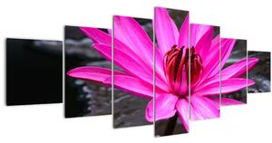 Obraz - růžový květ (210x100 cm)
