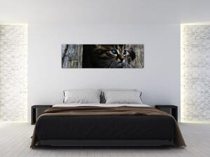 Obraz koťátka (170x50 cm)