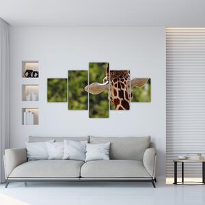 Obraz žirafy zezadu (125x70 cm)