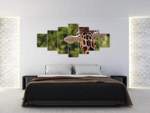 Obraz žirafy zezadu (210x100 cm)