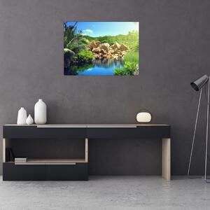 Obraz jezera v Seychelské džungli (70x50 cm)
