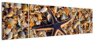Obraz mořské hvězdice (170x50 cm)