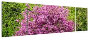 Obraz rozkvetlého stromu na louce (170x50 cm)