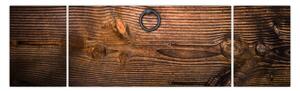 Obraz textury dřeva (170x50 cm)