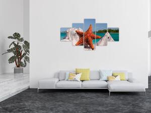 Obraz mořské hvězdice (125x70 cm)