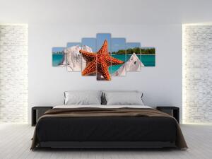 Obraz mořské hvězdice (210x100 cm)