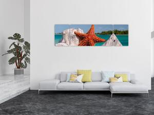 Obraz mořské hvězdice (170x50 cm)