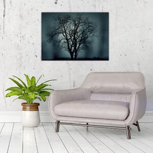 Obraz stromu v zatmění (70x50 cm)