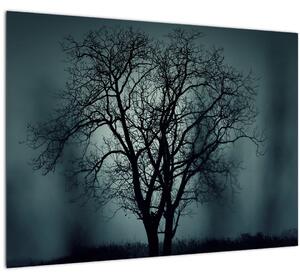 Obraz stromu v zatmění (70x50 cm)