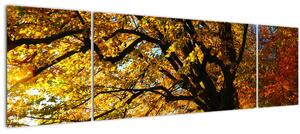 Obraz podzimního stromu (170x50 cm)
