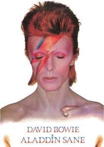 Plakát, Obraz - David Bowie - Aladdin Sane, (61 x 91.5 cm)