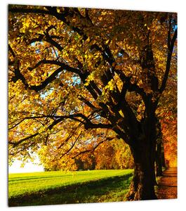 Obraz podzimního stromu (30x30 cm)