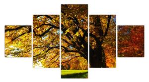 Obraz podzimu (125x70 cm)