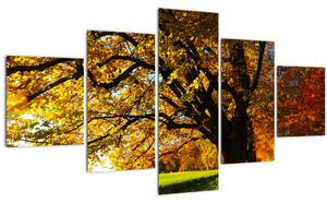 Obraz podzimního stromu (125x70 cm)