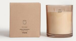 Svíčka ETERNAL Fig Leaf 780776