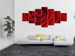 Obraz - detail růže (210x100 cm)