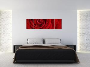 Obraz - detail růže (170x50 cm)