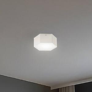Argon LED stropní svítidlo Libre, krémově bílé, ocel, 3 000 K, Bílá / opál, Obývací pokoj / jídelna, kov