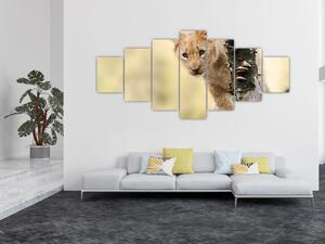 Obraz lvíčete (210x100 cm)
